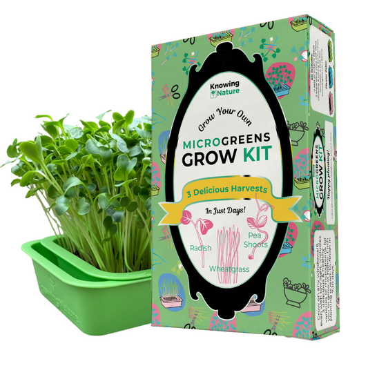 Reusable Microgreens Grow Kits