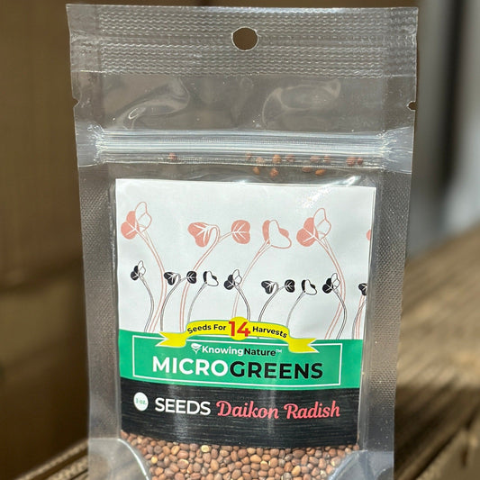 Daikon Radish Microgreens Seeds